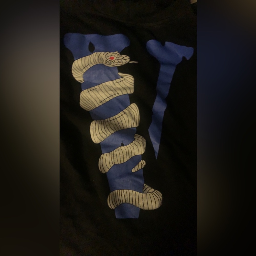 Blue snake print vlone hoodie